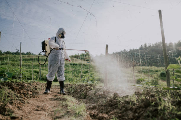 Best Best Pest Control Companies  in Pageland, SC
